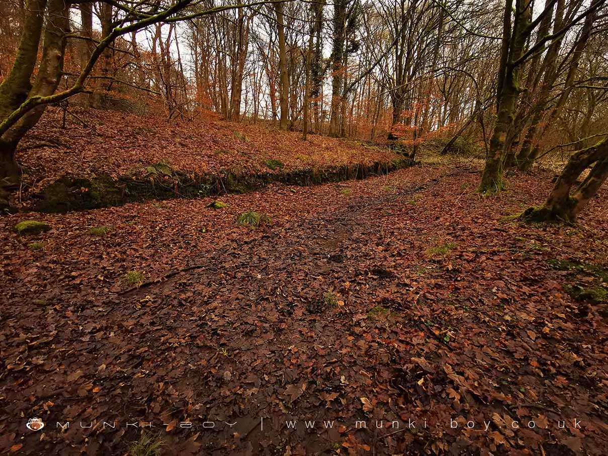 Site of Duxbury Mill Farm
