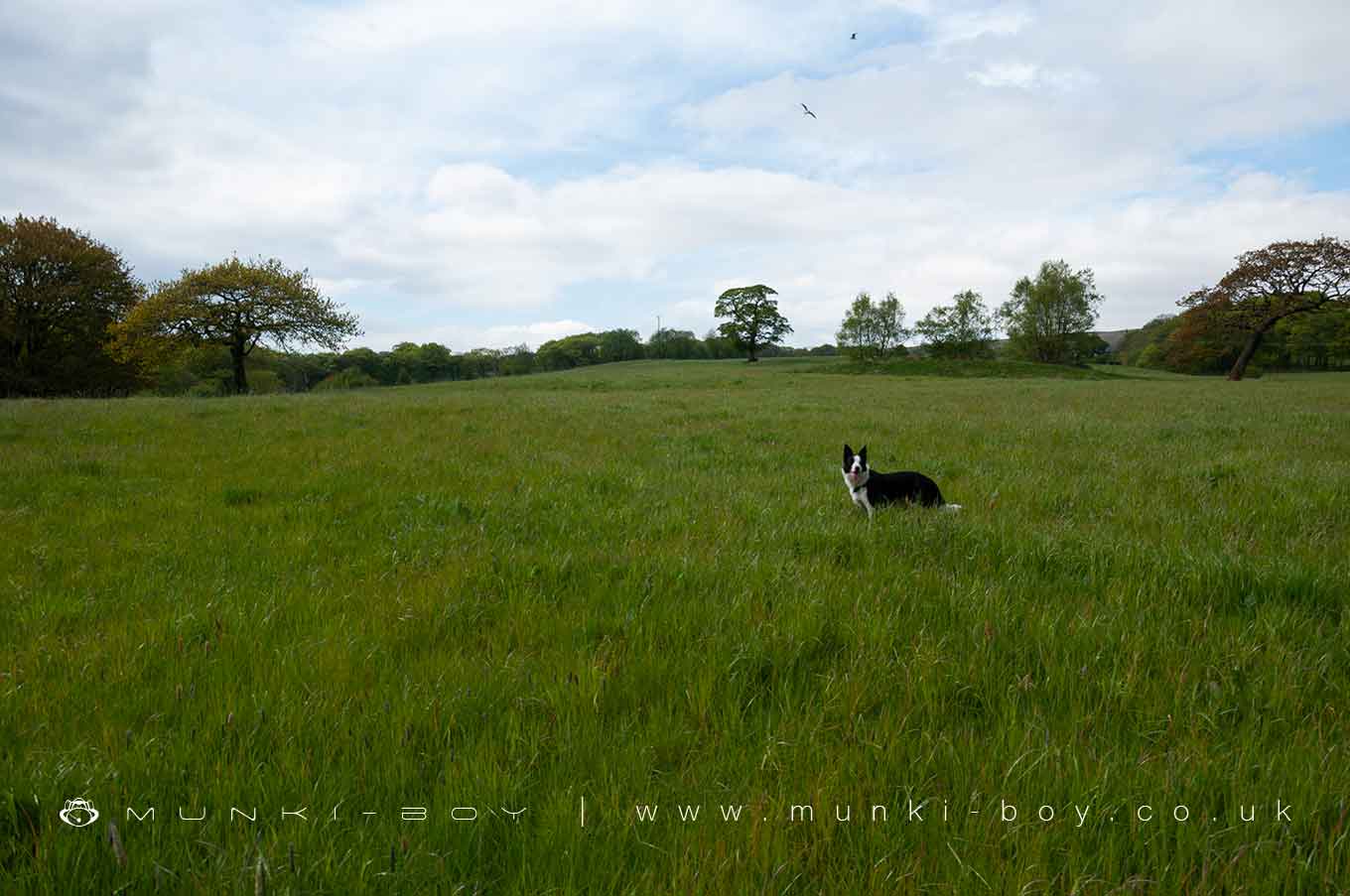 Site of another Chimney - nothing to see
