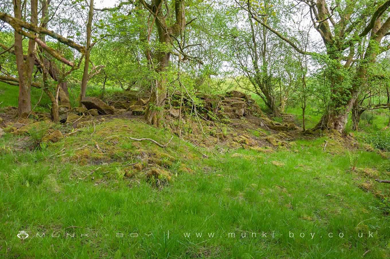 Site of an old Chimney at Dean Mills