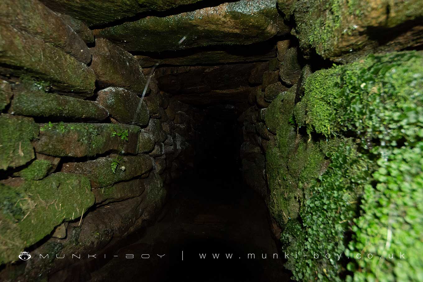 Higher Level Sough Covered Tunnel Entrance