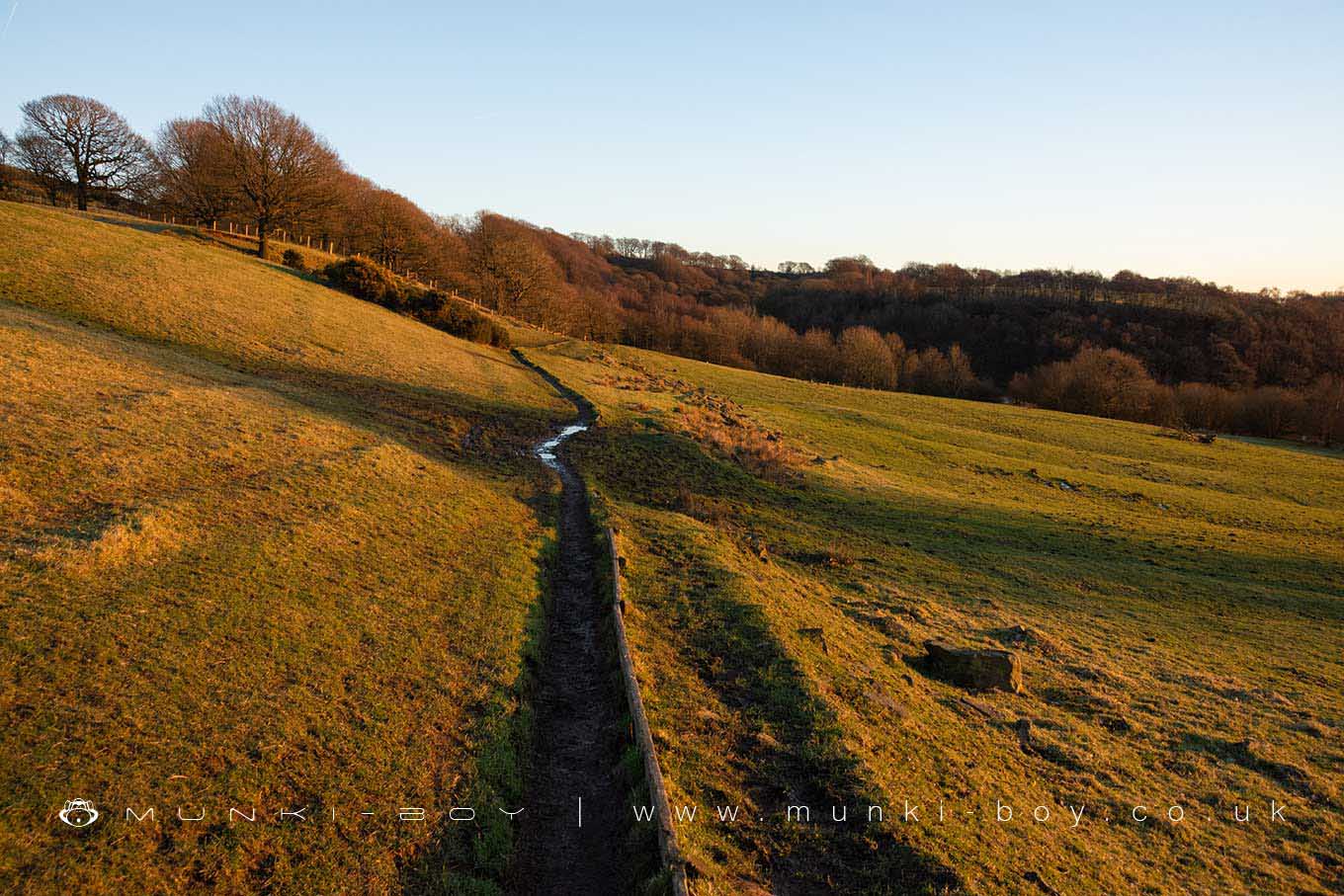 Spen Wood