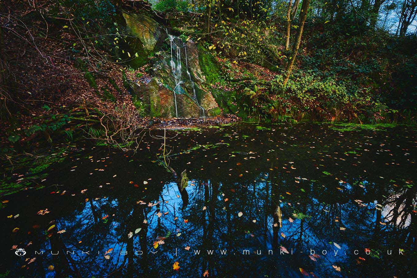 Spring Wood Waterfall