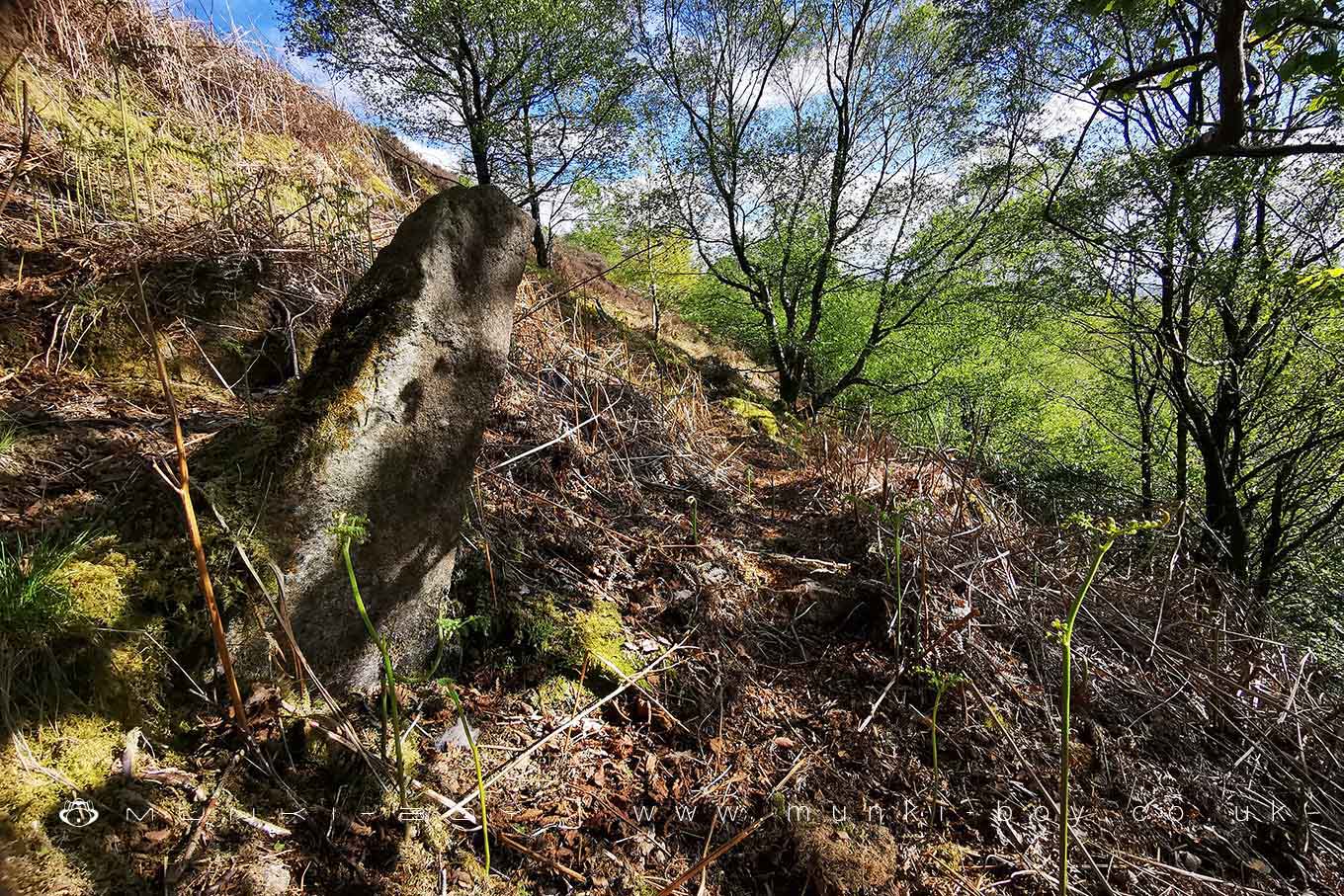 Upright Stone by an old track on Stronstrey Bank
