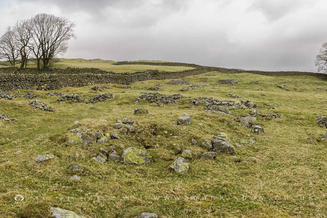 High Borrans Romano-British Settlement