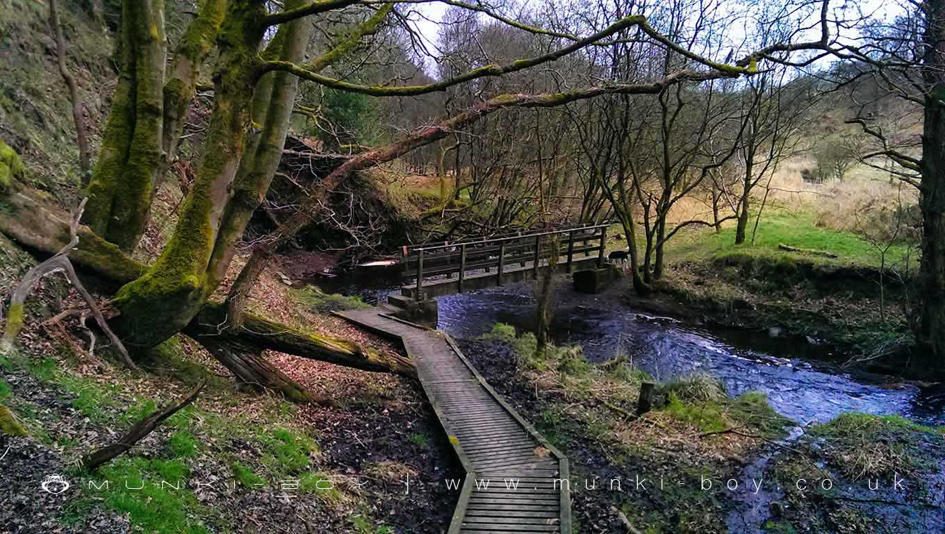 The Hall Wood