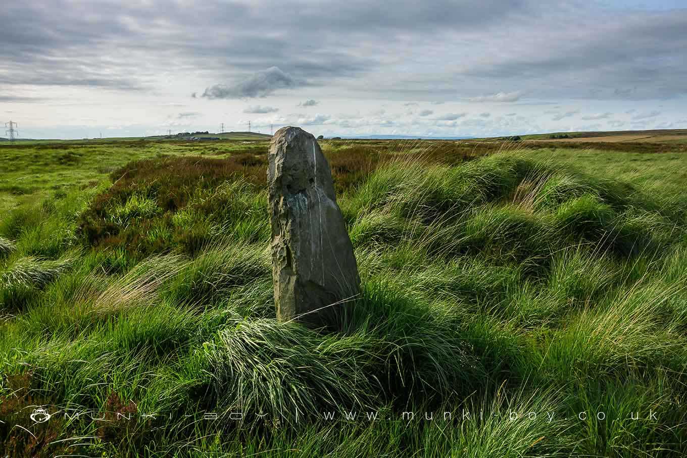 The Naze