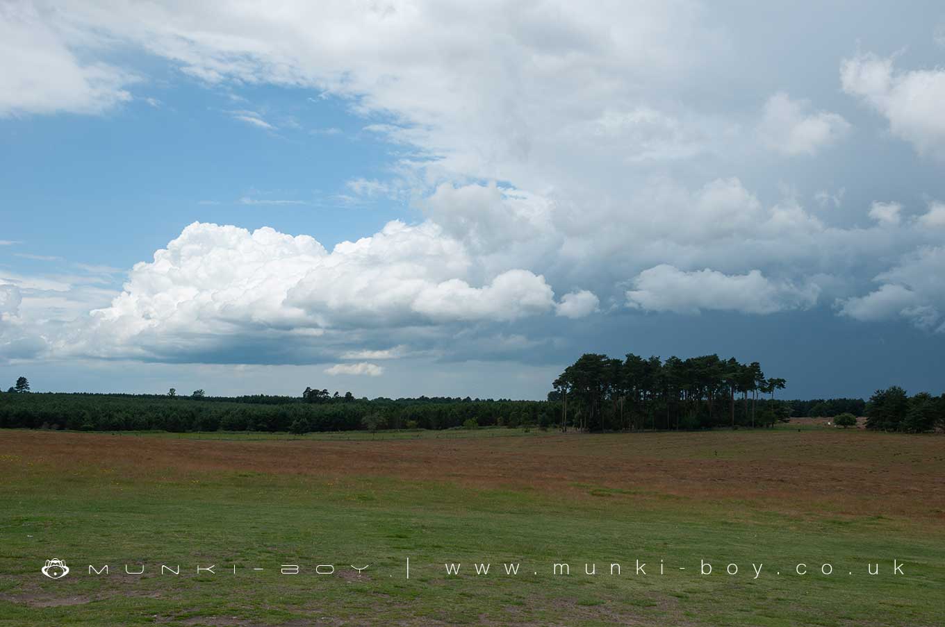 Thetford Forest Park