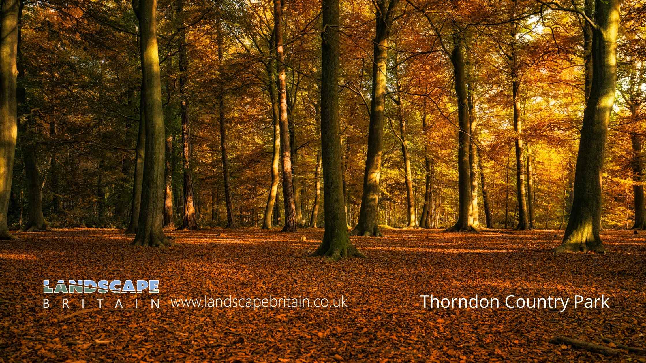 Thorndon Country Park