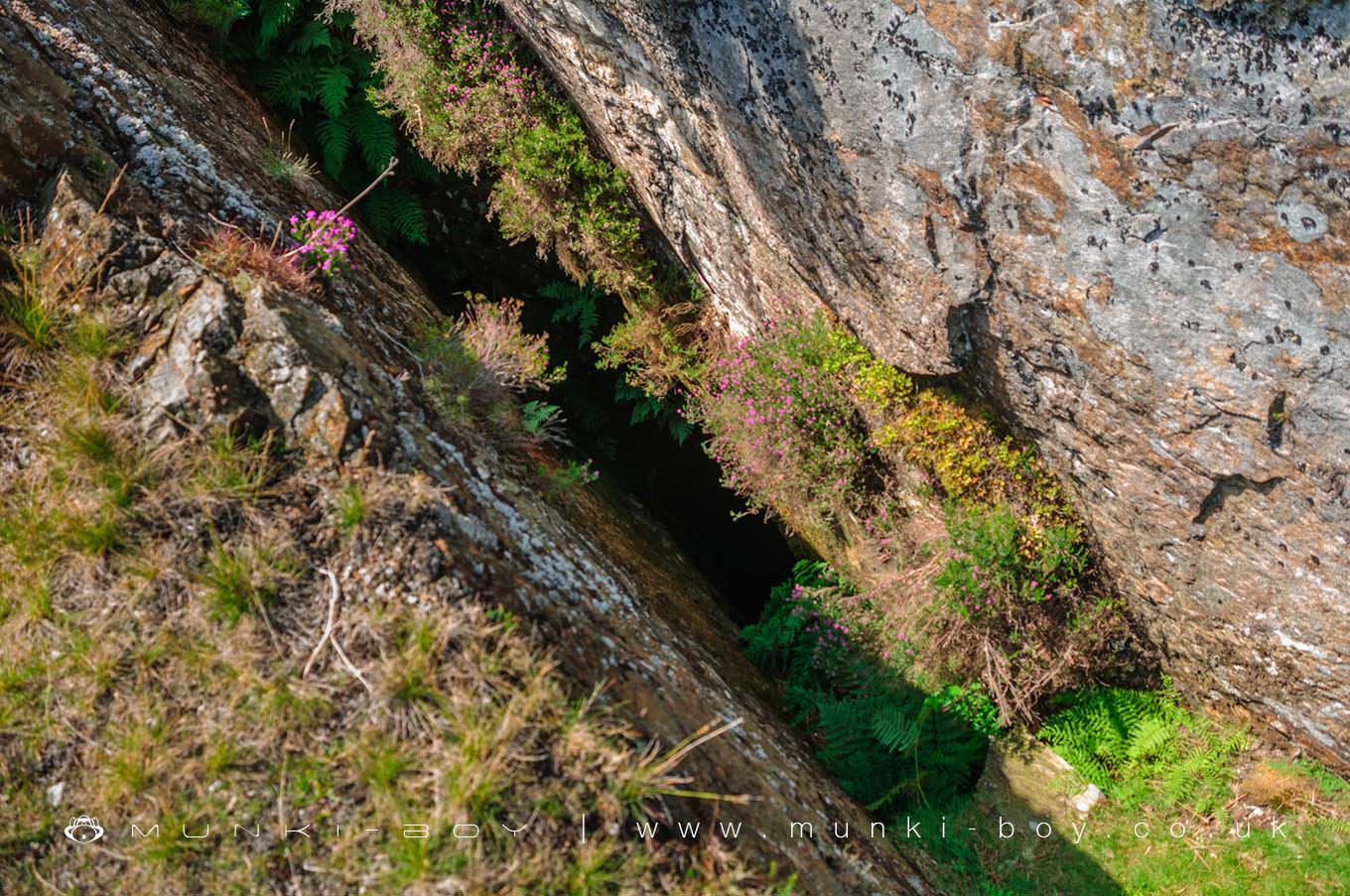 Three Kings Mine