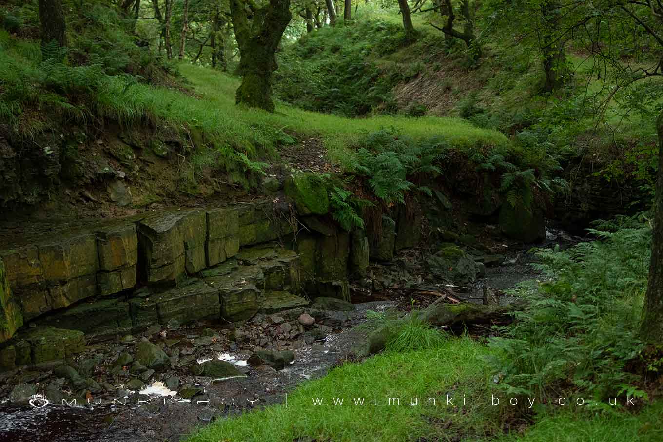 Tigers Clough