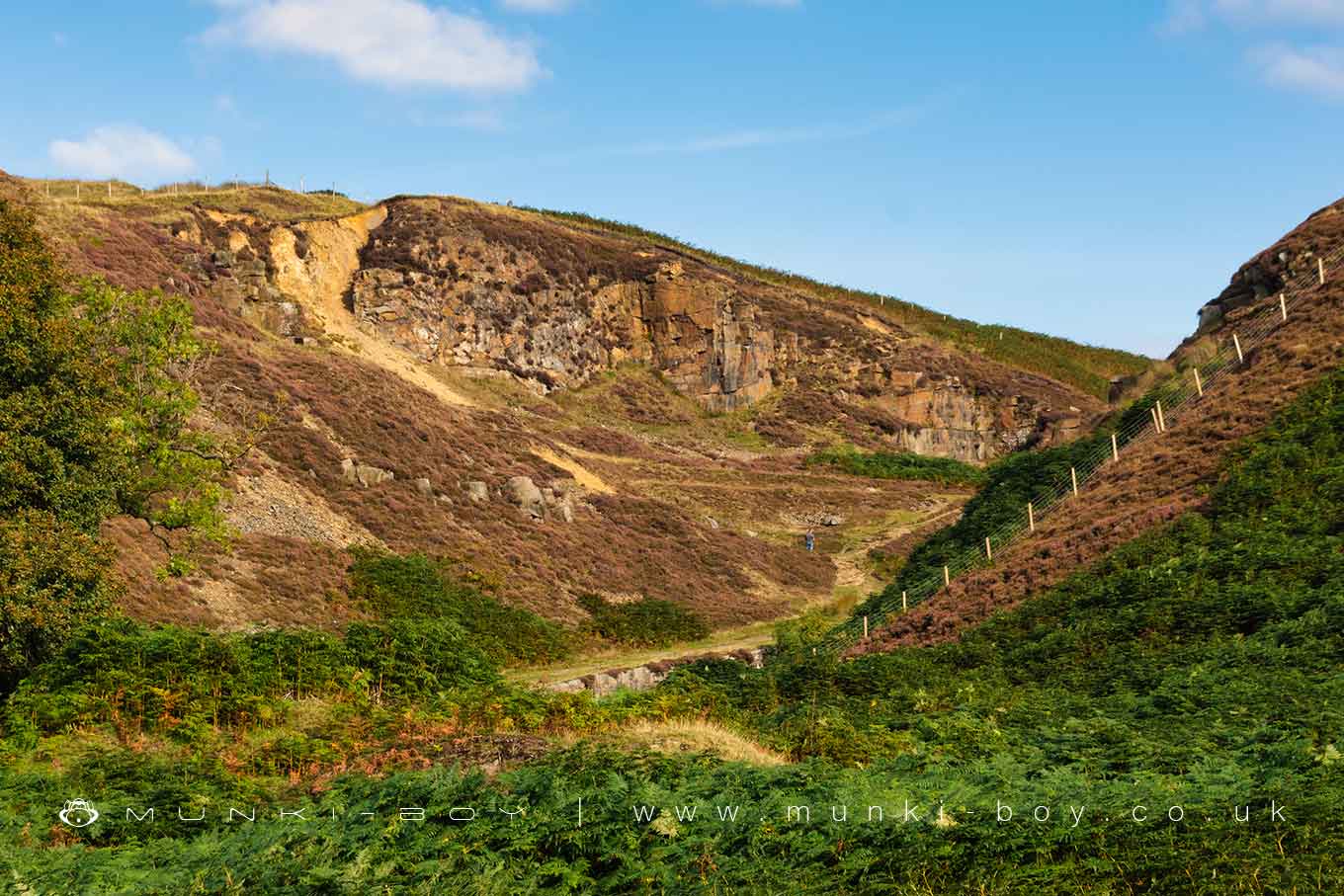 White Coppice Quarry