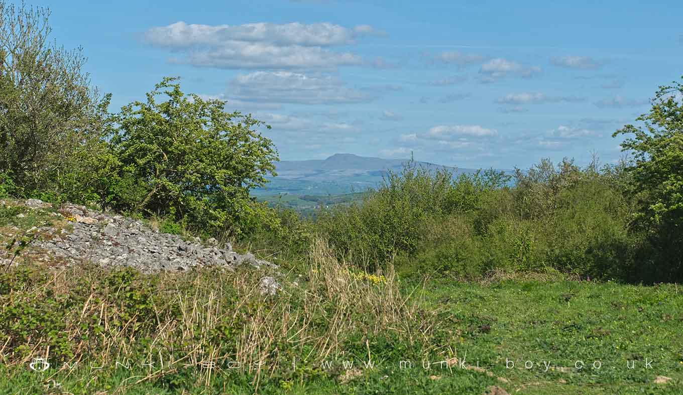 Warton Crag Multivallate Hillfort