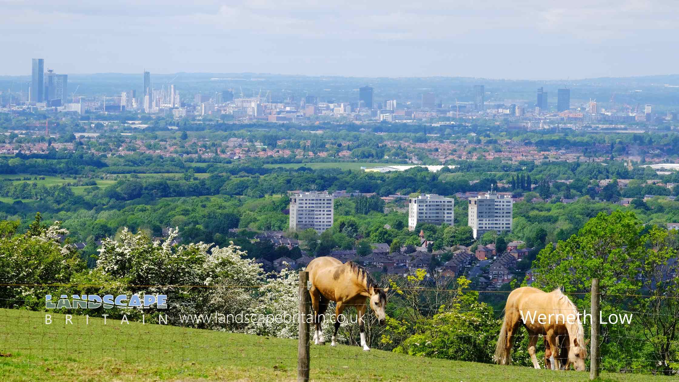 Werneth Low