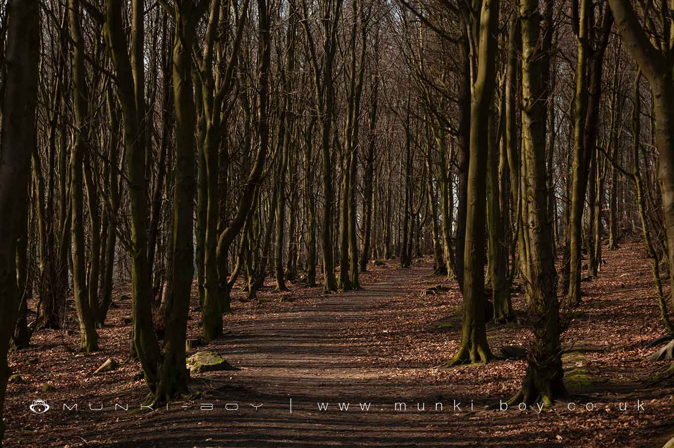 Wilderswood Plantation