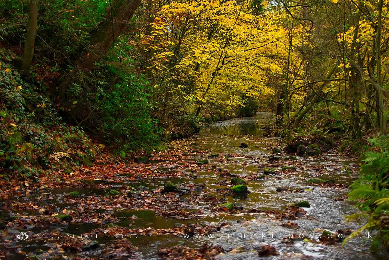 Worsley Brook