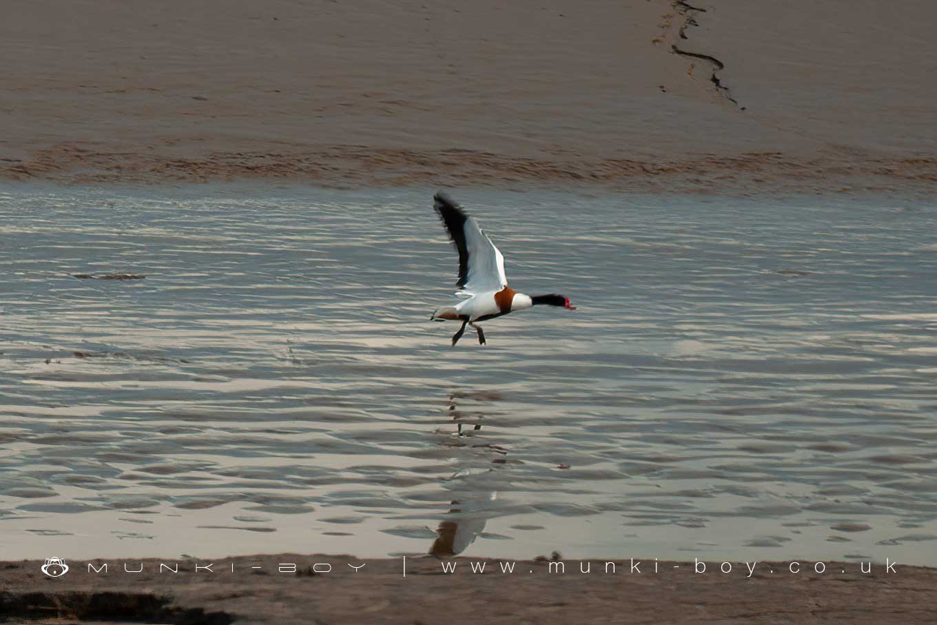 Wyre Estuary Country Park