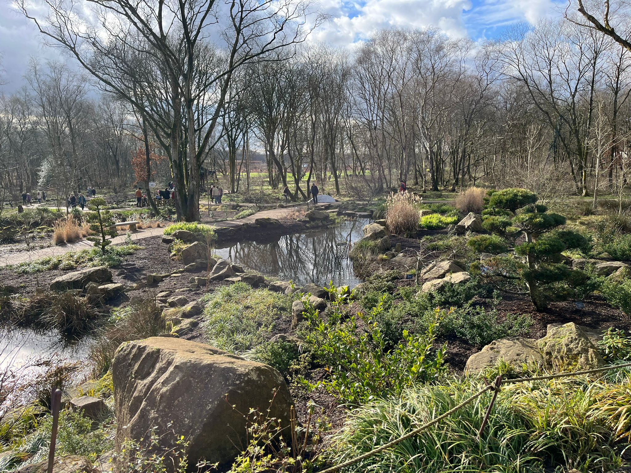 RHS Garden Bridgewater