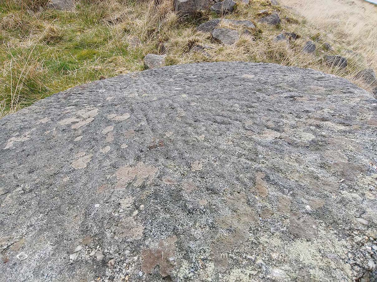 Millstone Chiseled Surface at Black Coppice
