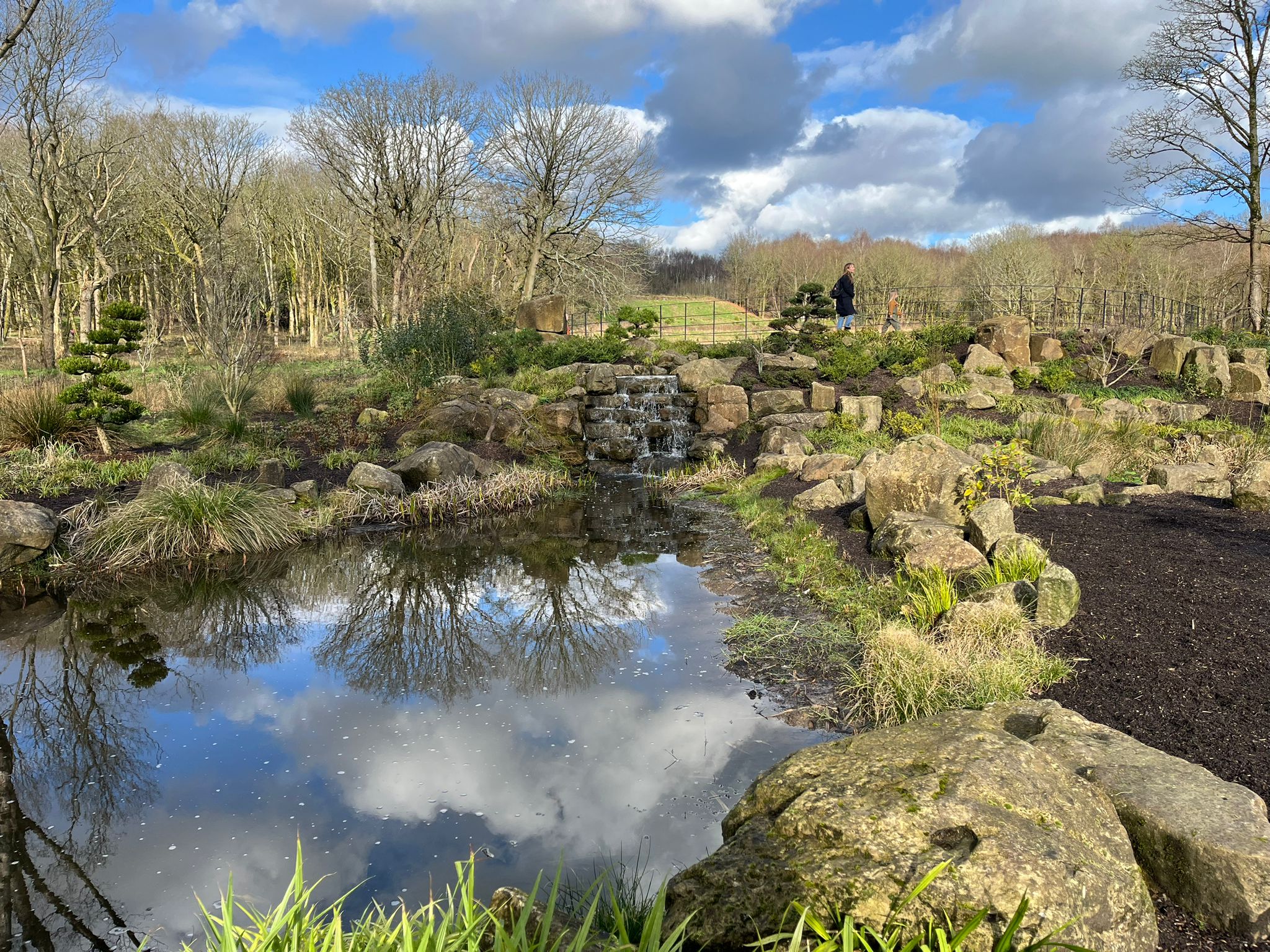 Ornamental Waterfall at RHS Garden Bridgewater
